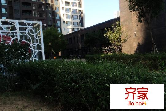 名流印象園區(qū)綠化（2015-9-16）