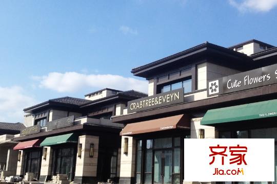綠地?海域香庭別墅沿街實景（2015-3-18）