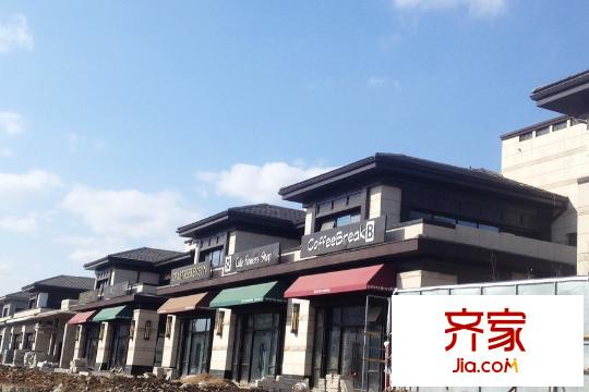 綠地?海域香庭別墅街區(qū)實景（2015-3-18）