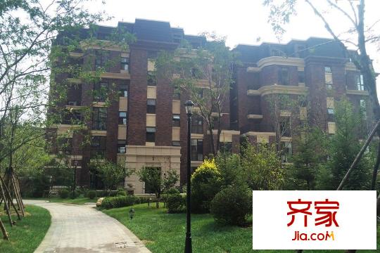 金地藝境園區(qū)綠化（2015-9-25）
