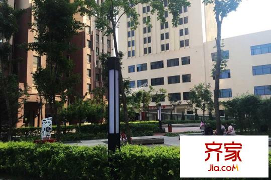 世紀楓景匯園區(qū)綠化實景（2015-7-14）