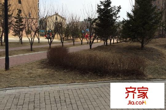麗水金陽園區(qū)綠化（2015-03-27）