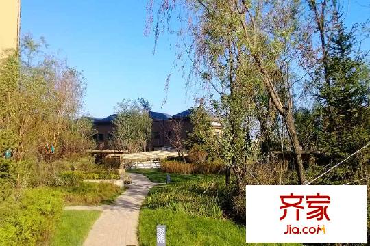 榮盛?紫提東郡園區(qū)綠化（2015-9-18）