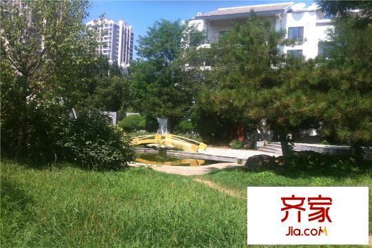 十三街區(qū)園區(qū)一角（2015-8-12）