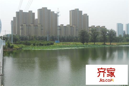 榮盛?坤湖酈舍臨近地坤湖高層（2015-7-30）