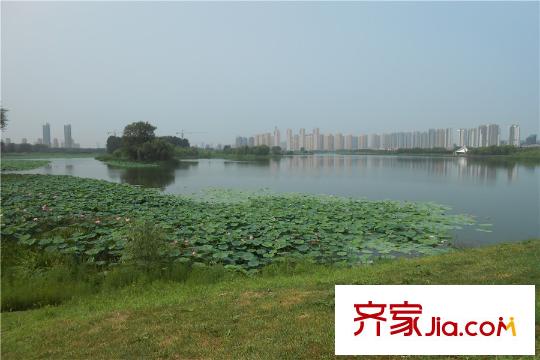 榮盛?坤湖酈舍周邊配套-地坤湖