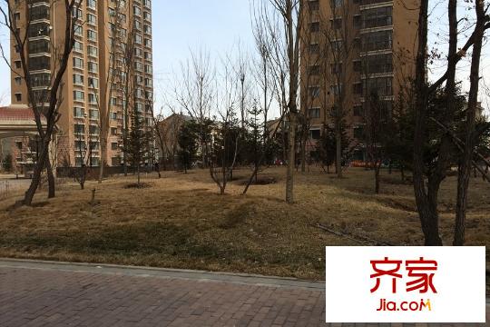麗水金陽園區(qū)綠化（2015-03-27）