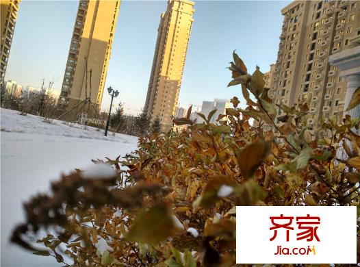 伯爵源筑園區(qū)一角（2015-12-7）