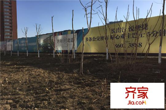 唐軒北廷圍擋(2015-12-17)
