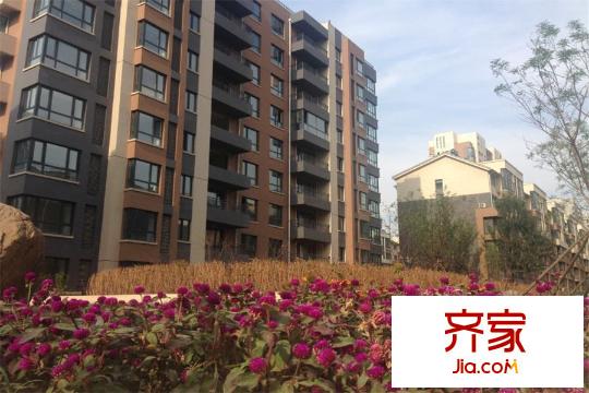 中房上東花墅園區(qū)內(nèi)綠化（2015-9-18）