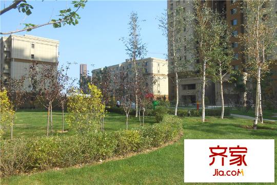唐軒首府園區(qū)綠化（2015-9-18）