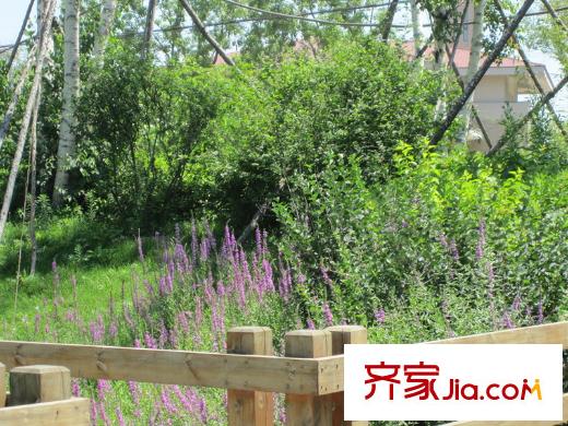 保利溪湖林語公園景色（2013-07）