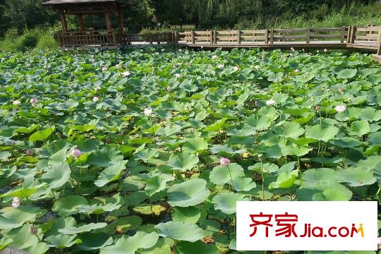 保利溪湖林語景觀實拍（2015-07-22）