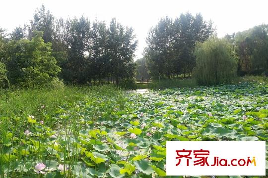 保利溪湖林語景觀實拍（2015-07-22）