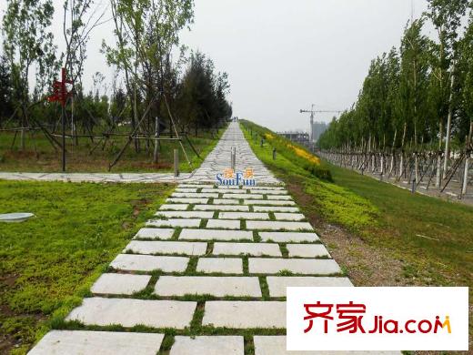 金道城周邊中央公園