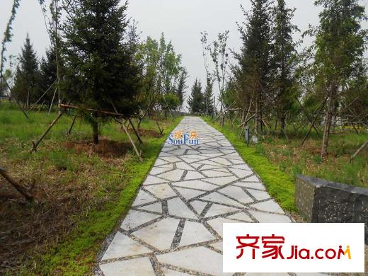 金道城周邊中央公園
