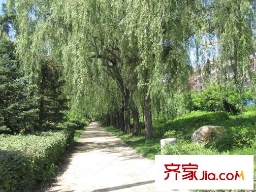 保利溪湖林語公園的林蔭小道（2013-07）