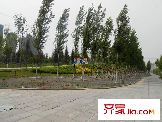 金道城周邊馬路