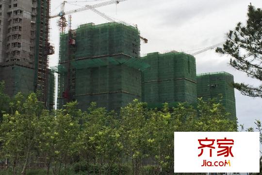 格林陽光城工程綠網(wǎng)（2015-9-10）