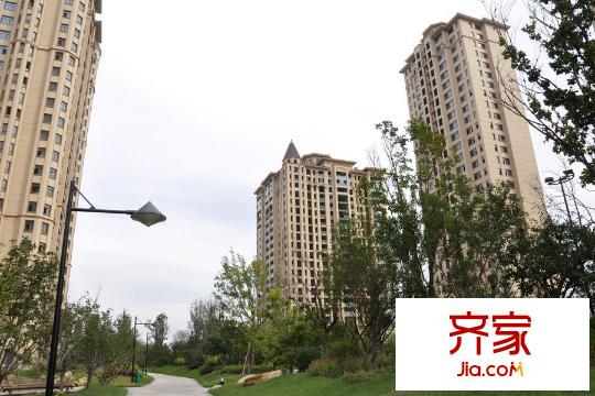 沈陽(yáng)星河灣園區(qū)綠化（2015-9-29）