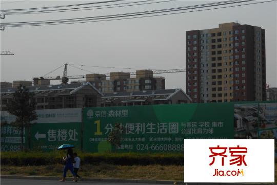 榮信森林里工程進度（2015-9-25）