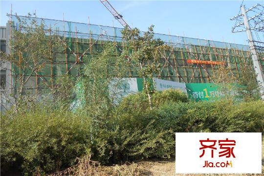 榮信森林里在建工程進度（2015-9-25）