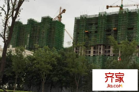 天潔?華爾街廣場(chǎng)工程綠網(wǎng)（2015-8-27）