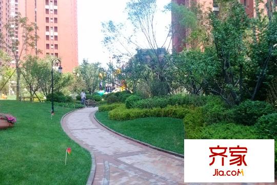 金地錦城園區(qū)路面（2015-07-07）