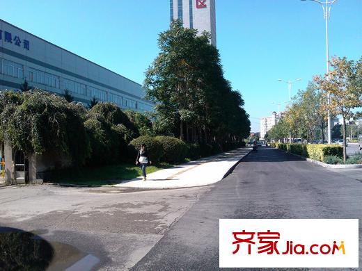 萬錦?紫園周邊的綠化