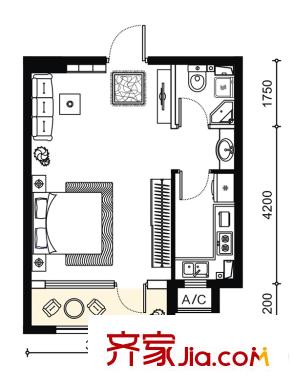 錦園A戶型  1室1廳1衛(wèi)1廚