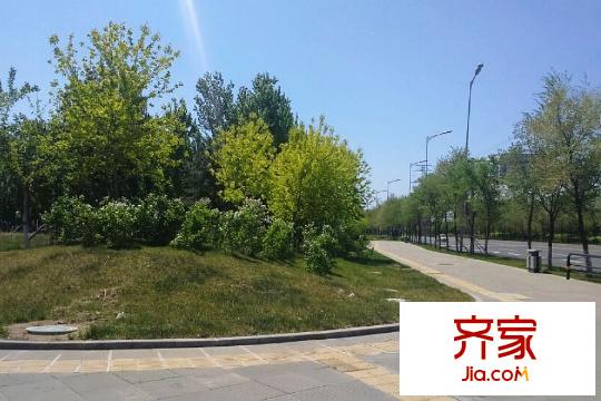 華新名筑沿街綠化帶（2015-05-06）
