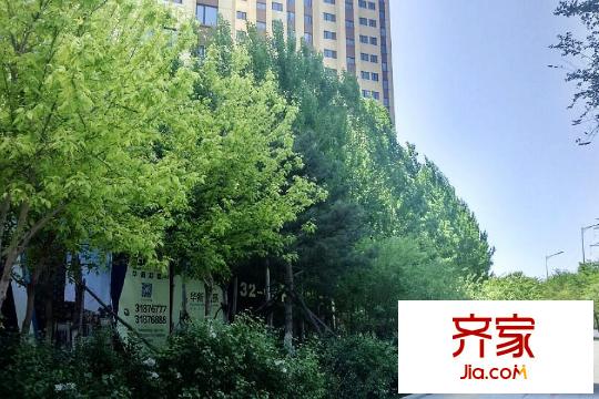 華新名筑沿街綠化帶（2015-05-06）