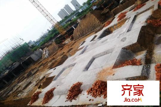 萬錦?香樟樹施工現(xiàn)場（2015-09-01）