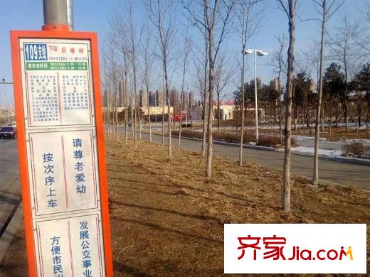 萬(wàn)錦?香樟樹周邊的109支線站點(diǎn)