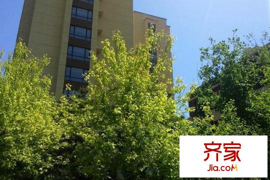 華新名筑高層綠化帶（2015-05-06）