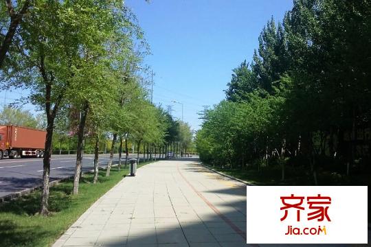 華新名筑沿街綠化帶（2015-05-06）