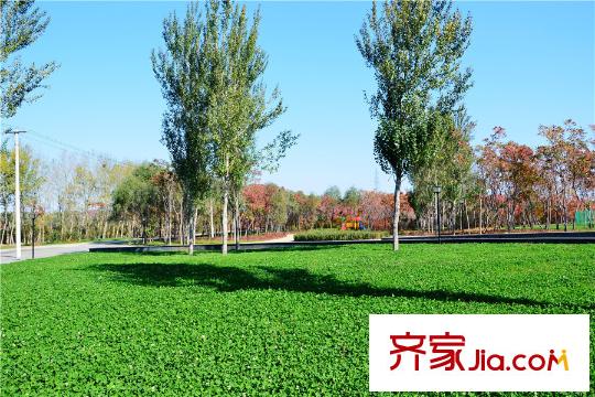 頤和城周邊公園草坪