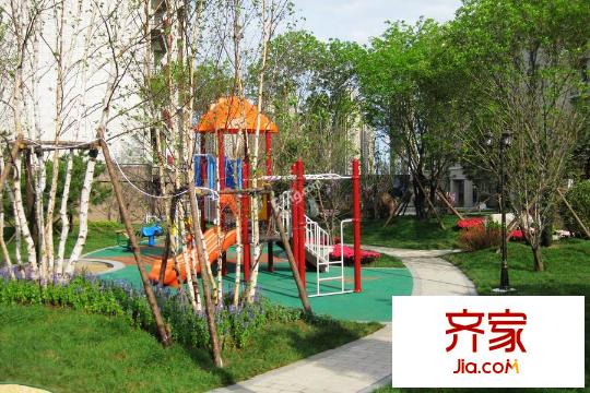 碧桂園公園里園區(qū)綠化實(shí)景（2015-9-7）