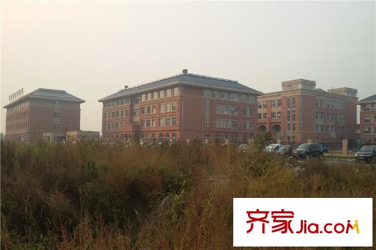 沈陽雅居樂花園周邊配套-學(xué)校