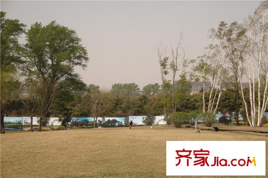沈陽雅居樂花園周邊配套-綠化