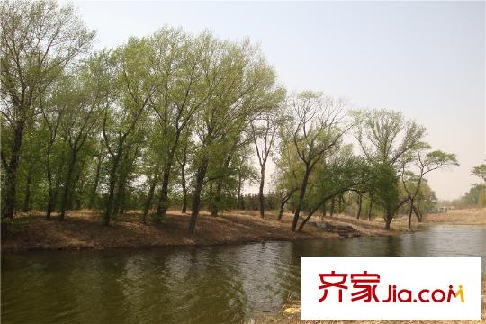 沈陽雅居樂花園周邊配套-河景