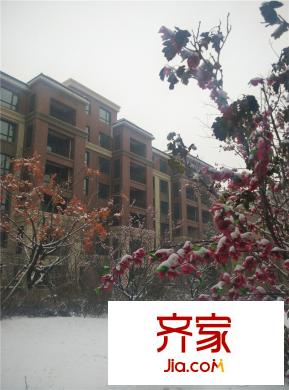 保利?白沙林語園區(qū)小路（2015-12-02）