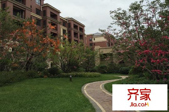 保利?白沙林語園區(qū)綠化（2015-9-18）