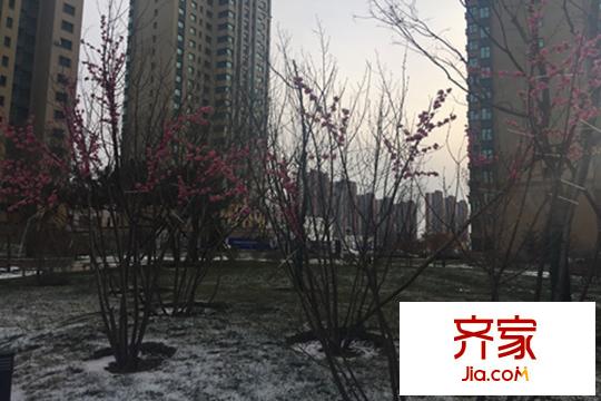 恒大雅苑項(xiàng)目實(shí)拍（2015-11-25）