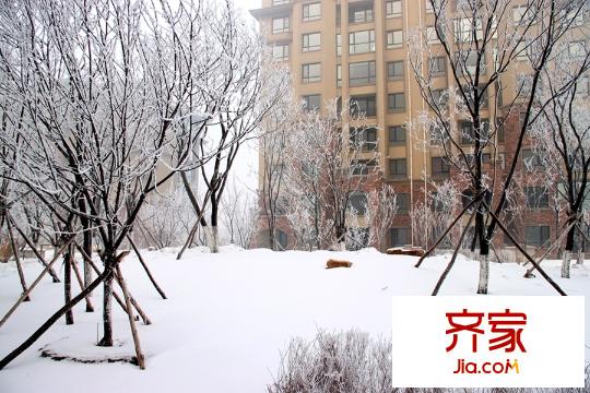 聽雨觀瀾多層前景（2015-12-02）