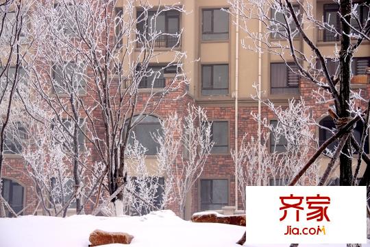 聽雨觀瀾園區(qū)一角（2015-12-02）