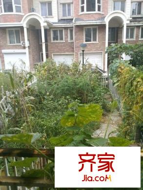 香格蔚藍(別墅)外景圖香格蔚藍 