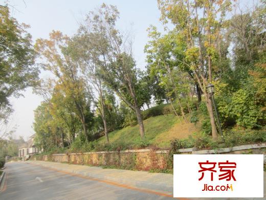 保利十二橡樹莊園羊腸小路（2013-09-10）