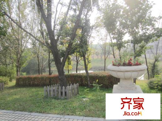 保利十二橡樹(shù)莊園秋季園區(qū)實(shí)景（2013-09-10）