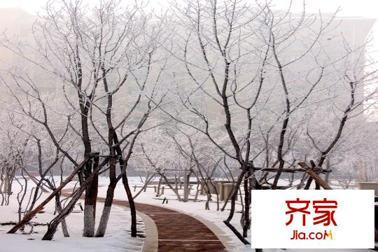 聽雨觀瀾園區(qū)景觀（2015-12-02）